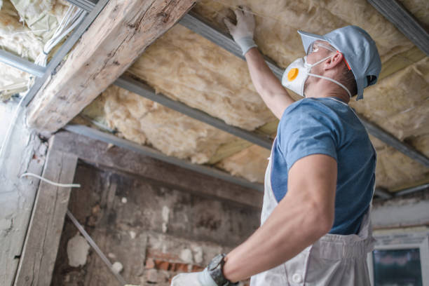 Best Insulation for Specific Applications in Birch Run, MI