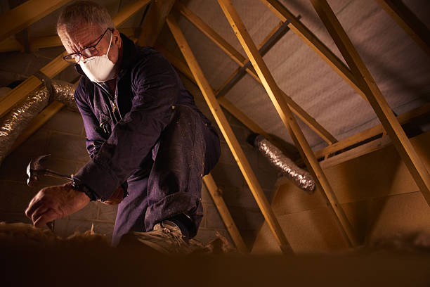 Best Specialty Insulation in Birch Run, MI